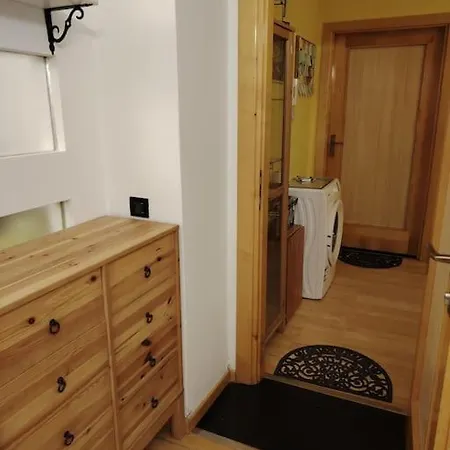Apartment Cricket Song In Center Of *