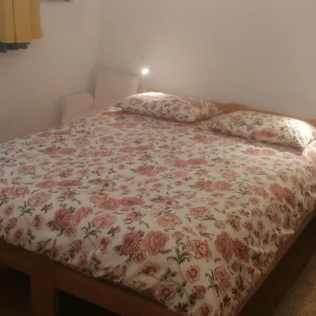 Cricket Song In Center Of Apartment *