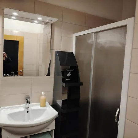 Cricket Song In Center Of Apartmán Split